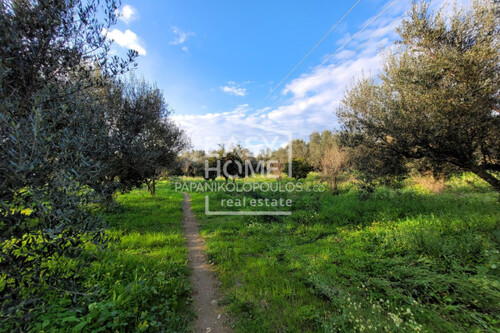 Foto - Grundstück zum Kaufen in 