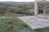 Foto - Grundstück Land Kaufen, , Heraklion-Stadt (Heraklion Präfektur),