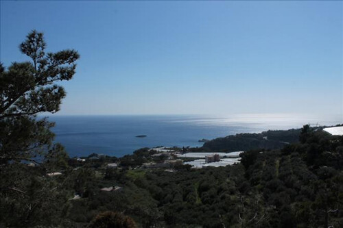 Foto - 5 Zimmer Einfamilienhaus zum Kaufen in 