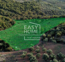 Grundstück Land Kaufen, , Aristomenis (Messinia),