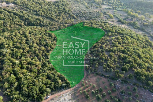 Foto - Grundstück in zum Kaufen