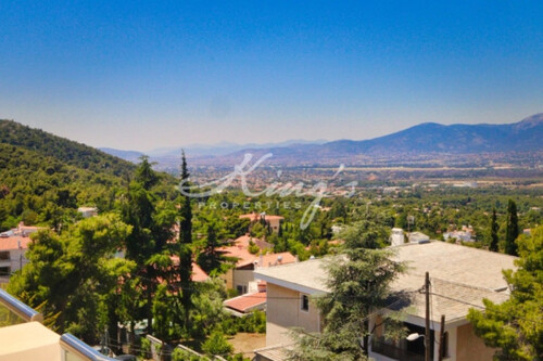 Foto - 13 Zimmer Einfamilienhaus in 