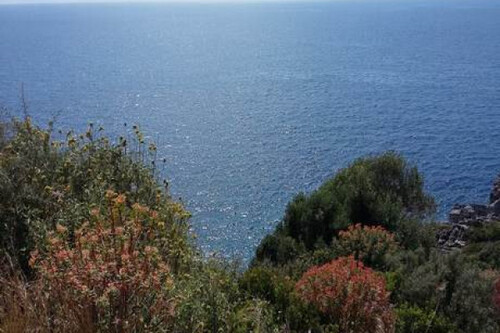 Foto - Grundstück zum Kaufen in 