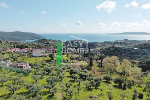 Foto - Grundstück Land Kaufen, , Methoni (Messinia),