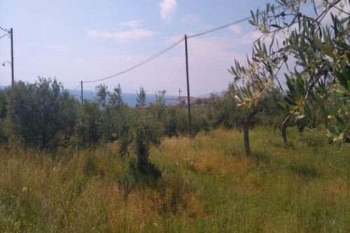 Foto - Grundstück Land Kaufen, , Lefktros (Messinia),