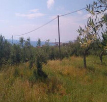 Grundstück Land Kaufen, , Lefktros (Messinia),