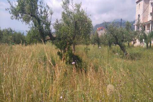 Foto - Grundstück in 