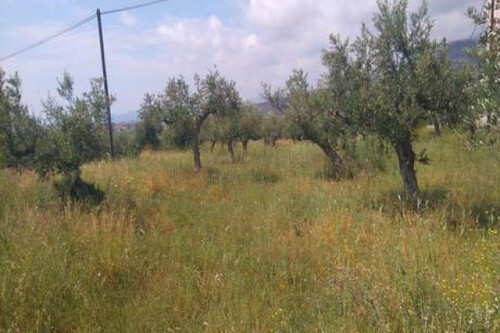 Foto - Grundstück in zum Kaufen