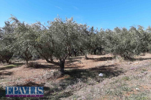 Foto - Grundstück in 