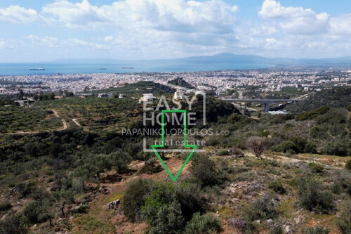 Foto - Grundstück zum Kaufen in 