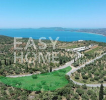 Grundstück Land Kaufen, , Methoni (Messinia),