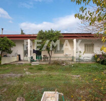 Haus Kaufen, , Volos (Magnisia),