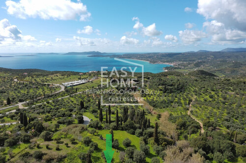 Foto - Grundstück in 