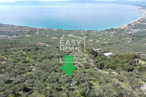 Foto - Grundstück zum Kaufen in 