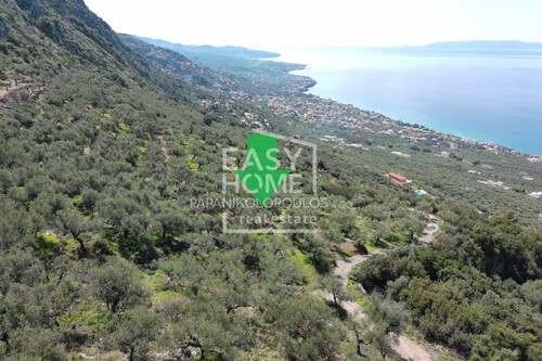 Foto - Grundstück in zum Kaufen