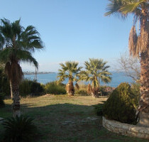 Haus Kaufen, , Anthidonos (Euböa),