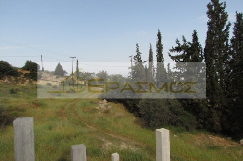 Foto - 3 Zimmer Einfamilienhaus zum Kaufen in 