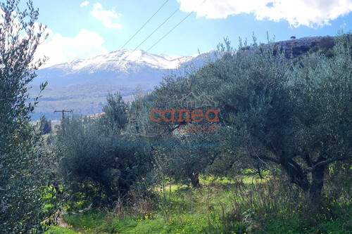 Foto - Grundstück zum Kaufen in 