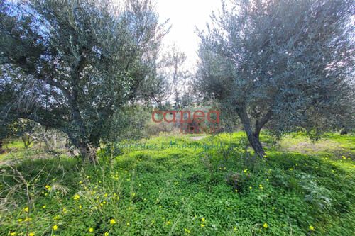 Foto - Grundstück in 