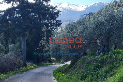 Foto - Grundstück in zum Kaufen