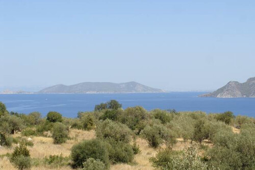 Foto - Grundstück zum Kaufen in 