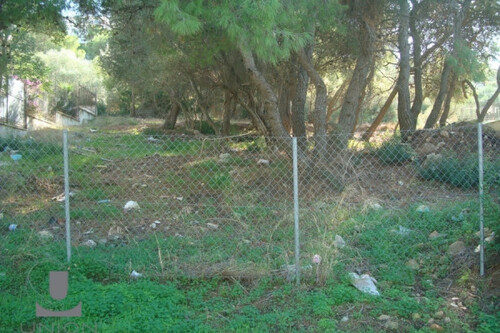 Foto - Grundstück Land Kaufen, , Saronida (Attika - Restliche Gemeinden),