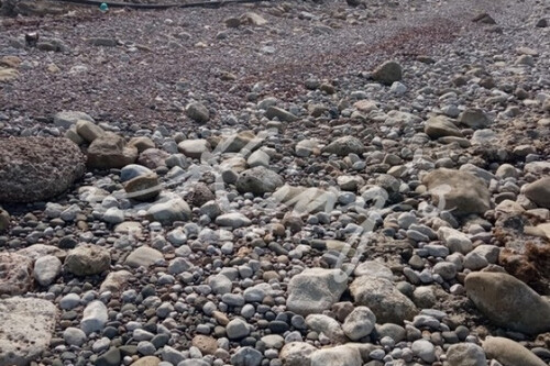 Foto - Grundstück in 