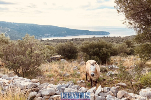 Foto - Grundstück in zum Kaufen