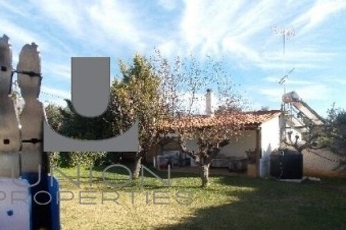 Foto - 