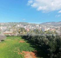 Grundstück Land Kaufen, , Markopoulo (Attika - Restliche Gemeinden),