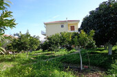 Foto - 
