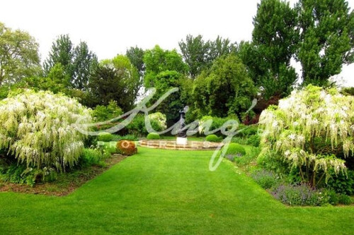 Foto - Grundstück Land Kaufen, , Drosia (Athen Nord),