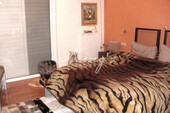 Foto - 