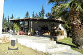 Foto - 