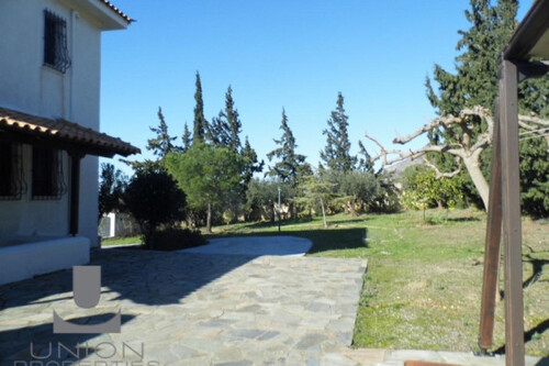 Foto - 