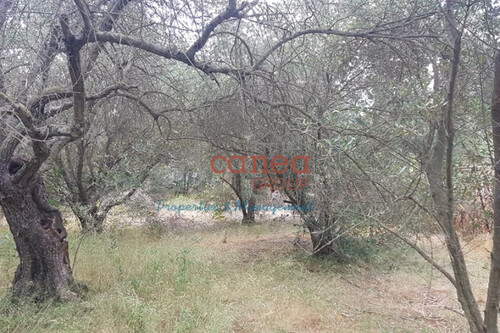 Foto - Grundstück in zum Kaufen