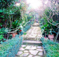 Haus Kaufen, , Ekali (Athen Nord), Haus Kaufen, , Ekali (Athen Nord),