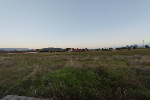 Foto - 