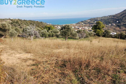 Foto - Grundstück Land Kaufen, , Kymi (Euböa),