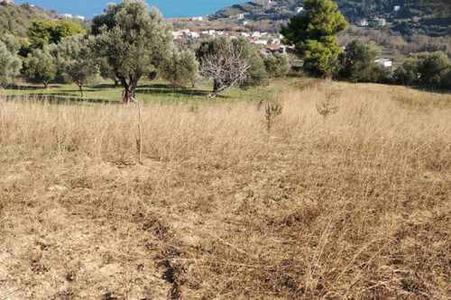 Foto - Grundstück in 