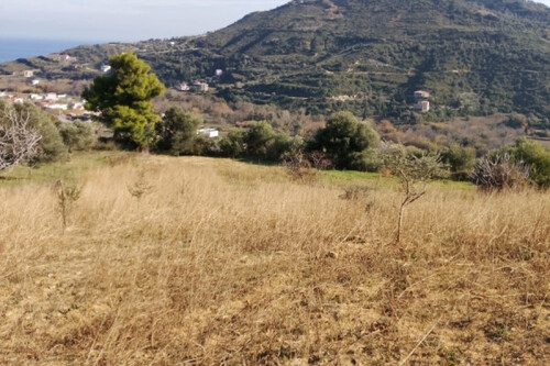 Foto - Grundstück in zum Kaufen