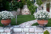 Foto - 