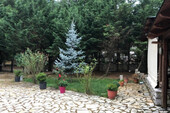 Foto - Haus Kaufen, , Arachova (Voiotia),