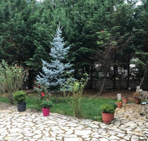 Haus Kaufen, , Arachova (Voiotia),
