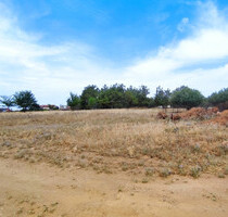 Grundstück Land Kaufen, , Thermi (Thessaloniki - Stadtorte um das Stadtzentrum),