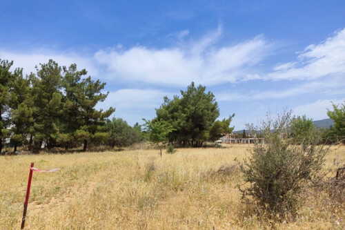 Foto - Grundstück in 