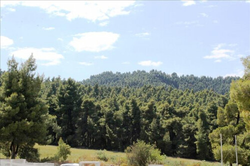 Foto - 14 Zimmer Einfamilienhaus zum Kaufen in 