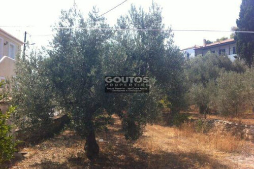 Foto - Grundstück in zum Kaufen