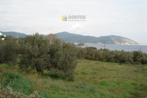 Foto - Grundstück in 