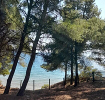 Gewerbe-Immobilie Kaufen, , Sithonia (Chalkidiki),